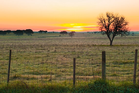 alentejo