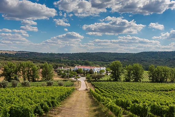 alentejo