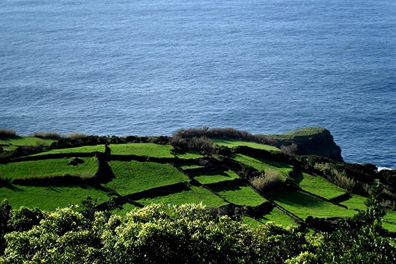 açores