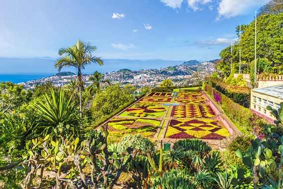 madeira