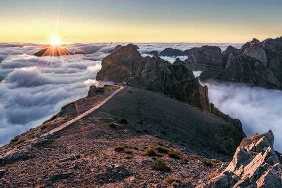 madeira